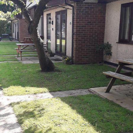 דירות היילה 11 Trevithick Court Tolroy Manor חדר תמונה